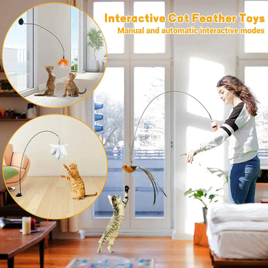 Ignite Your Cat's Playful Spirit and Joy!