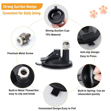 Ignite Your Cat's Playful Spirit and Joy!